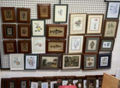 Framed prints of Worcester porcelain,