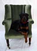 A Victorian porters chair with an upholstered back, arms and seats on turned legs and casters,