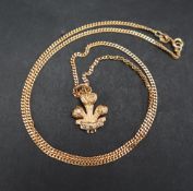 A 9ct yellow gold Prince of Wales Feathers charm on a 9ct gold chain,