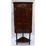 A 19th century mahogany corner cupboard with a moulded dentil cornice and a pair of panelled