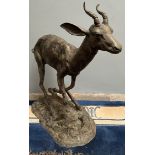 A large bronze model of a Gazelle or Impala, running, on a textured oval base,