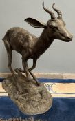 A large bronze model of a Gazelle or Impala, running, on a textured oval base,