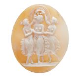 CARVED SHELL CAMEO