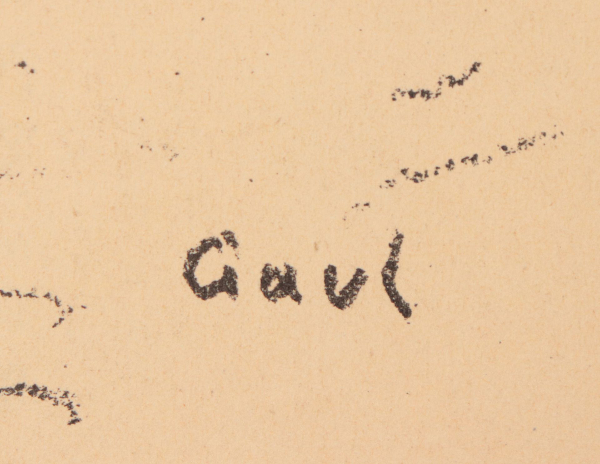Gaul, August - Bild 3 aus 4