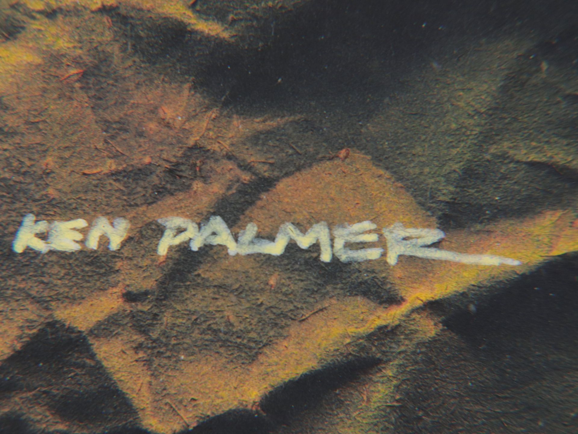 Palmer, Kenneth - Bild 5 aus 6