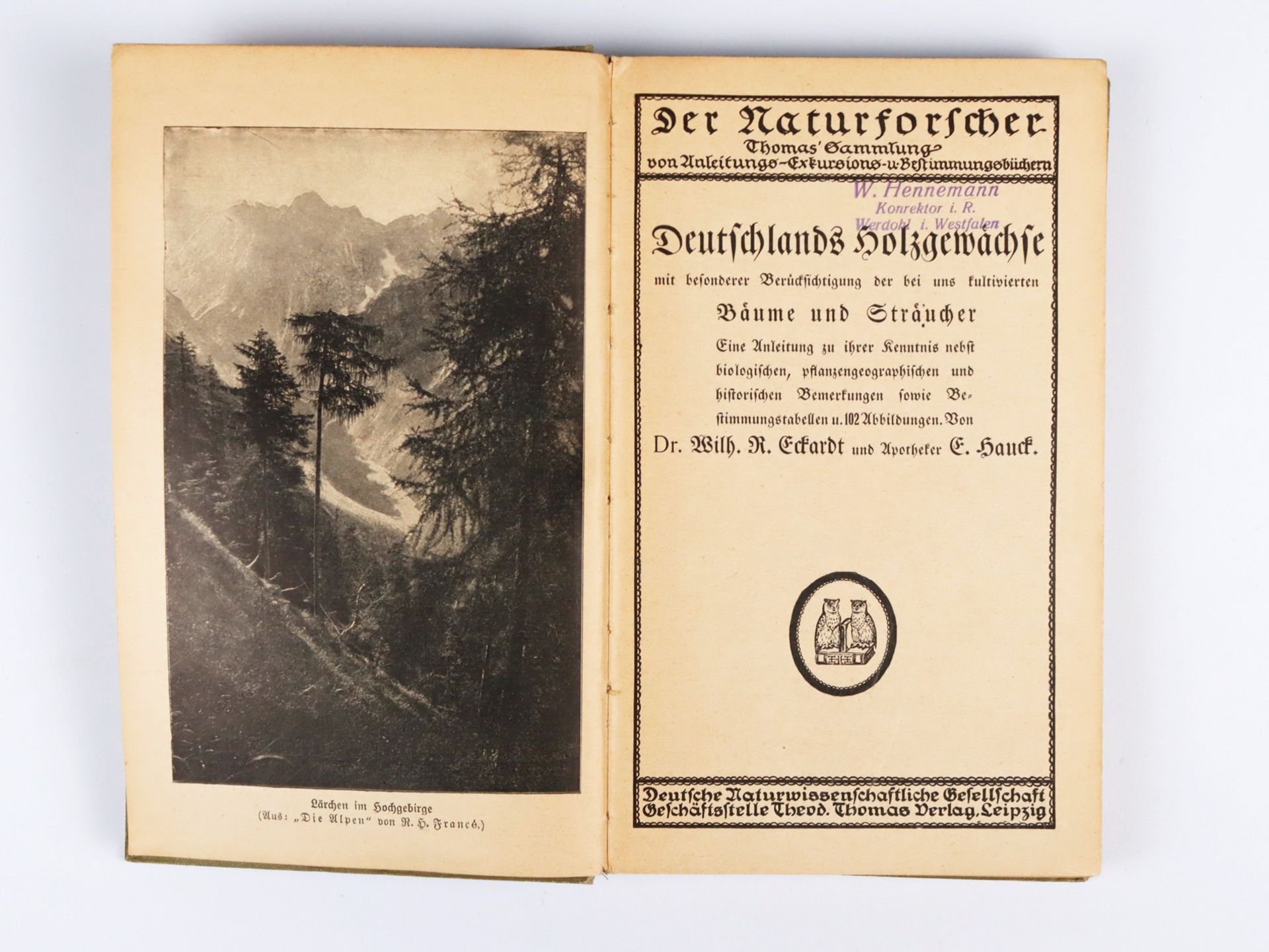 Naturwissenschaften - Konvolut - Bild 4 aus 7