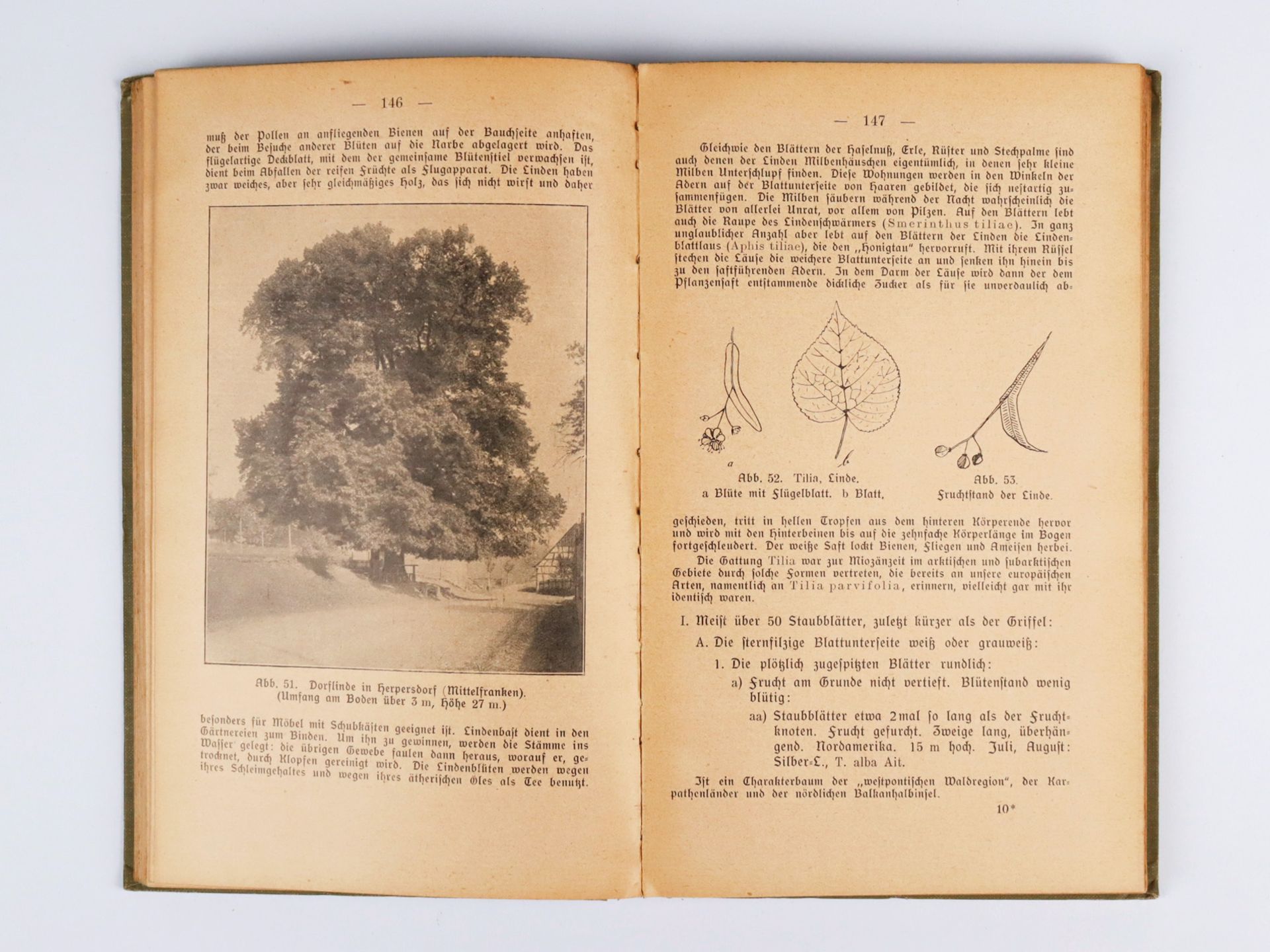 Naturwissenschaften - Konvolut - Bild 7 aus 7