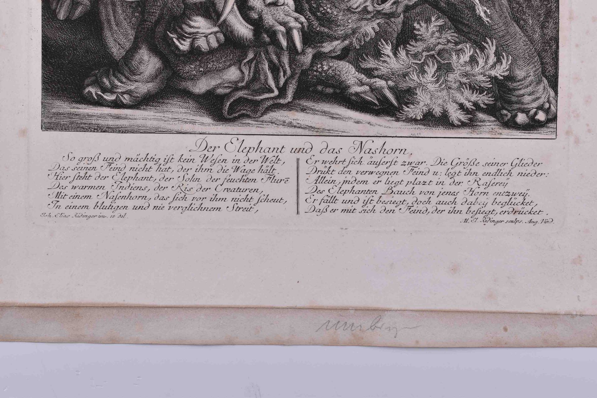 Johann Elias RIDINGER (1698-1767) - Bild 3 aus 3