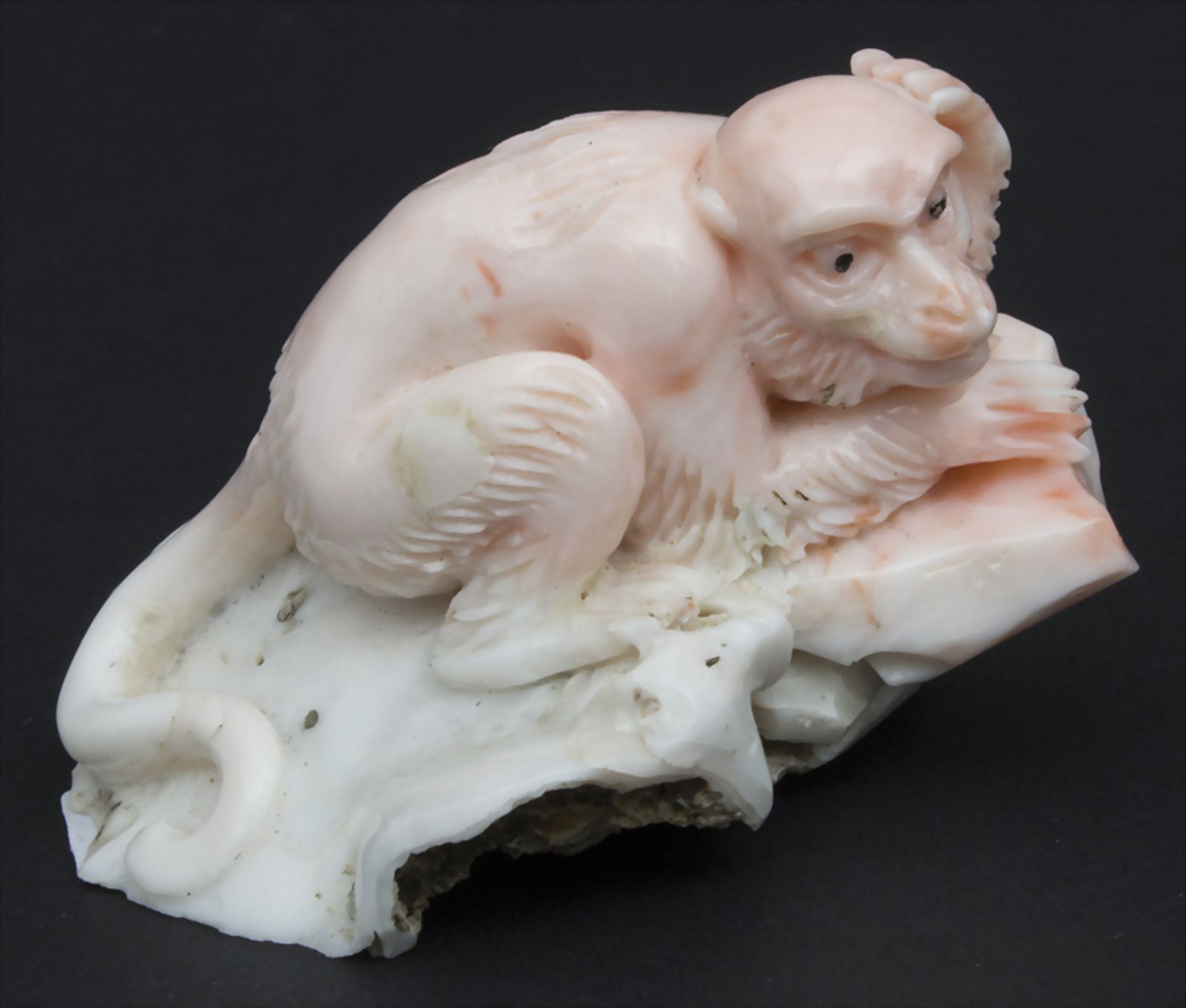 Korallenschnitzerei 'Affe' / A coral carving 'Monkey', China, 18. Jh.