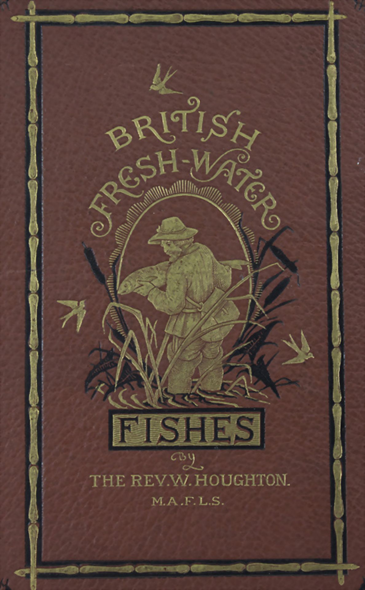 William Houghton: British fresh water-fishes, Division II, 1879