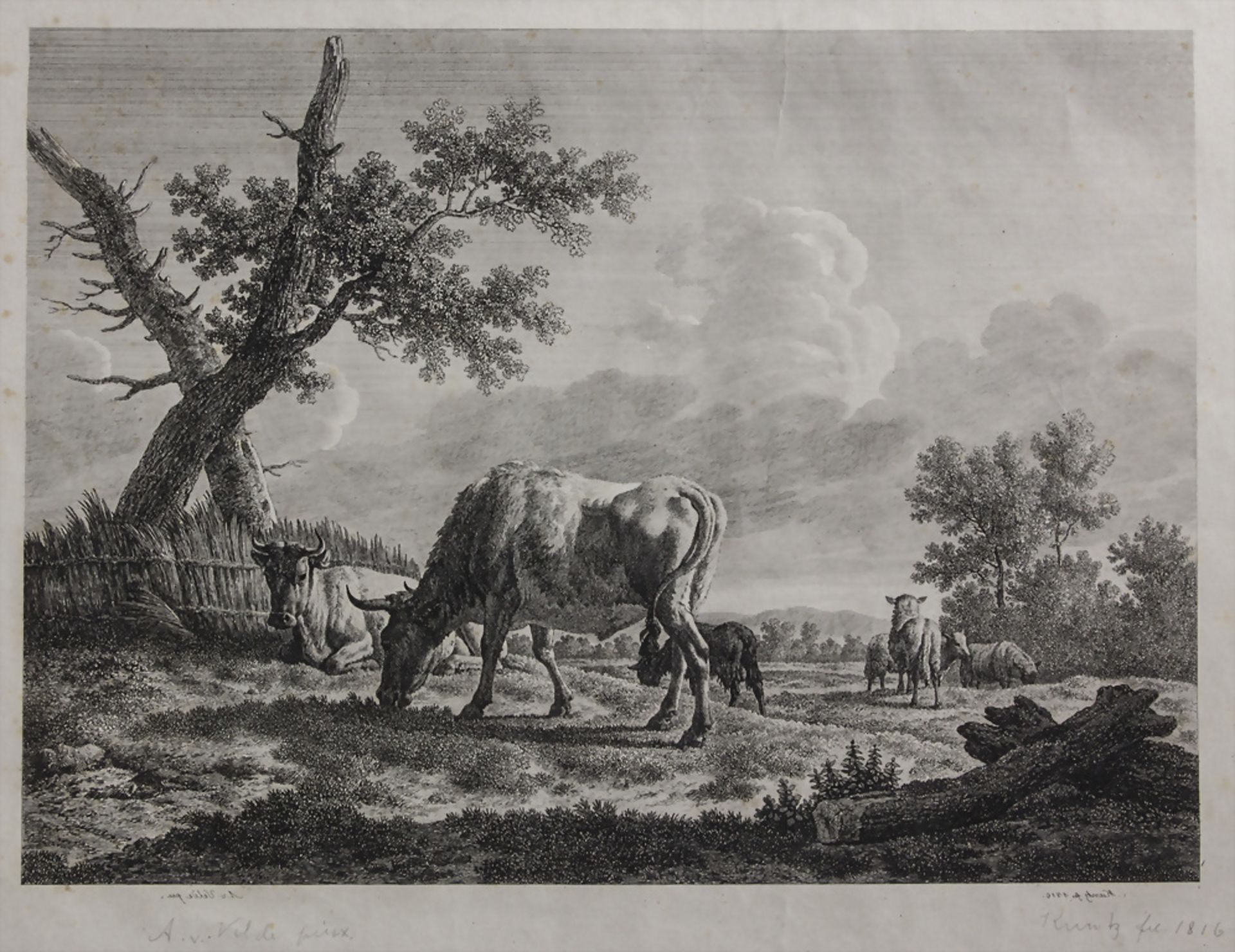 Nach Adriaen van de Velde (1636-1672), 'Kühe auf der Weide' / 'Cows in the pasture'