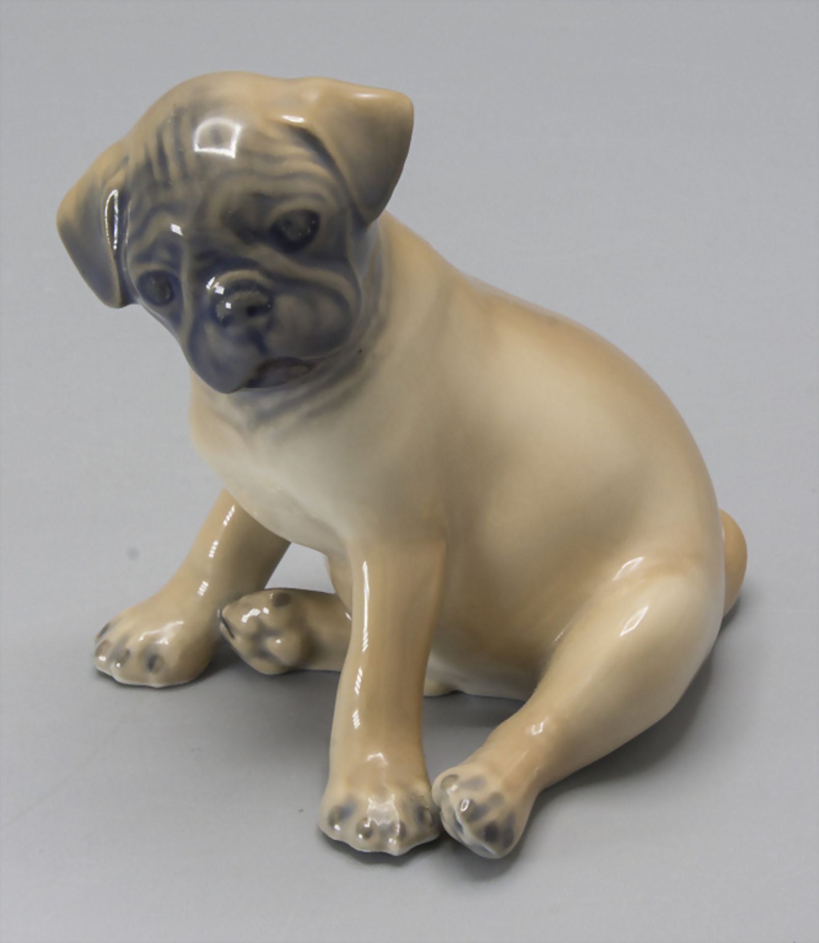 Mops Welpe / A pug puppy, Theodor Madsen, Royal Copenhagen, Mitte 20. Jh.