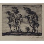 Künstler des 20. Jh., 'Bäume im Wind' / 'Trees in the wind'