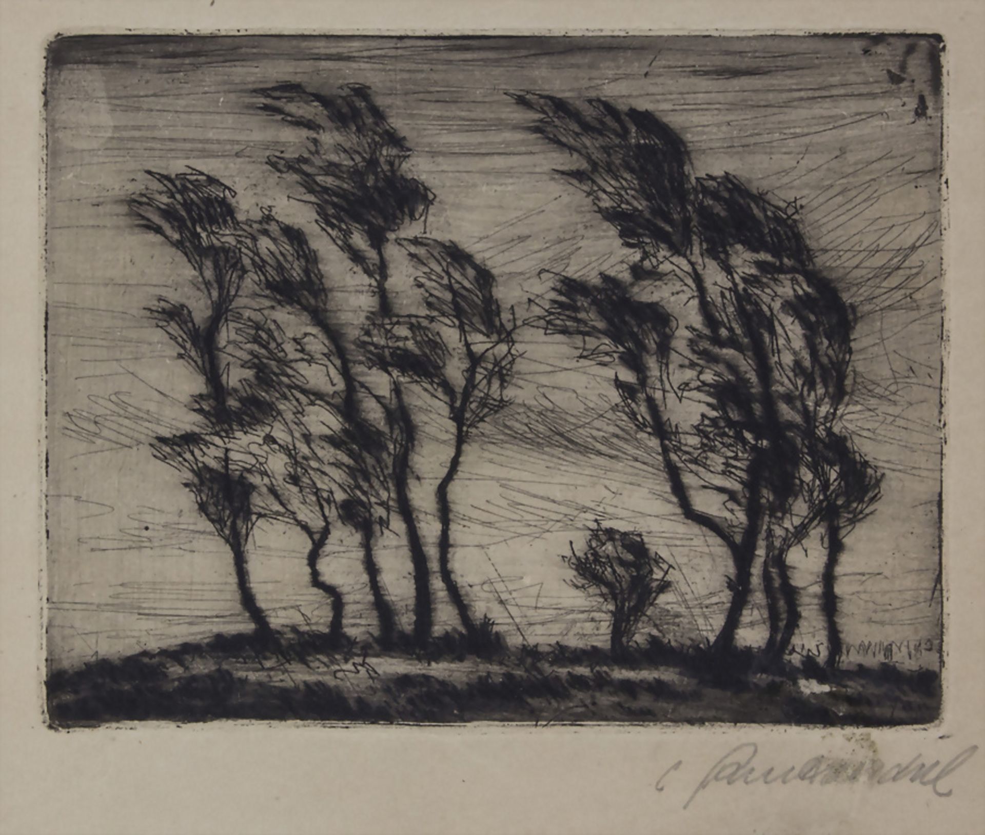 Künstler des 20. Jh., 'Bäume im Wind' / 'Trees in the wind'