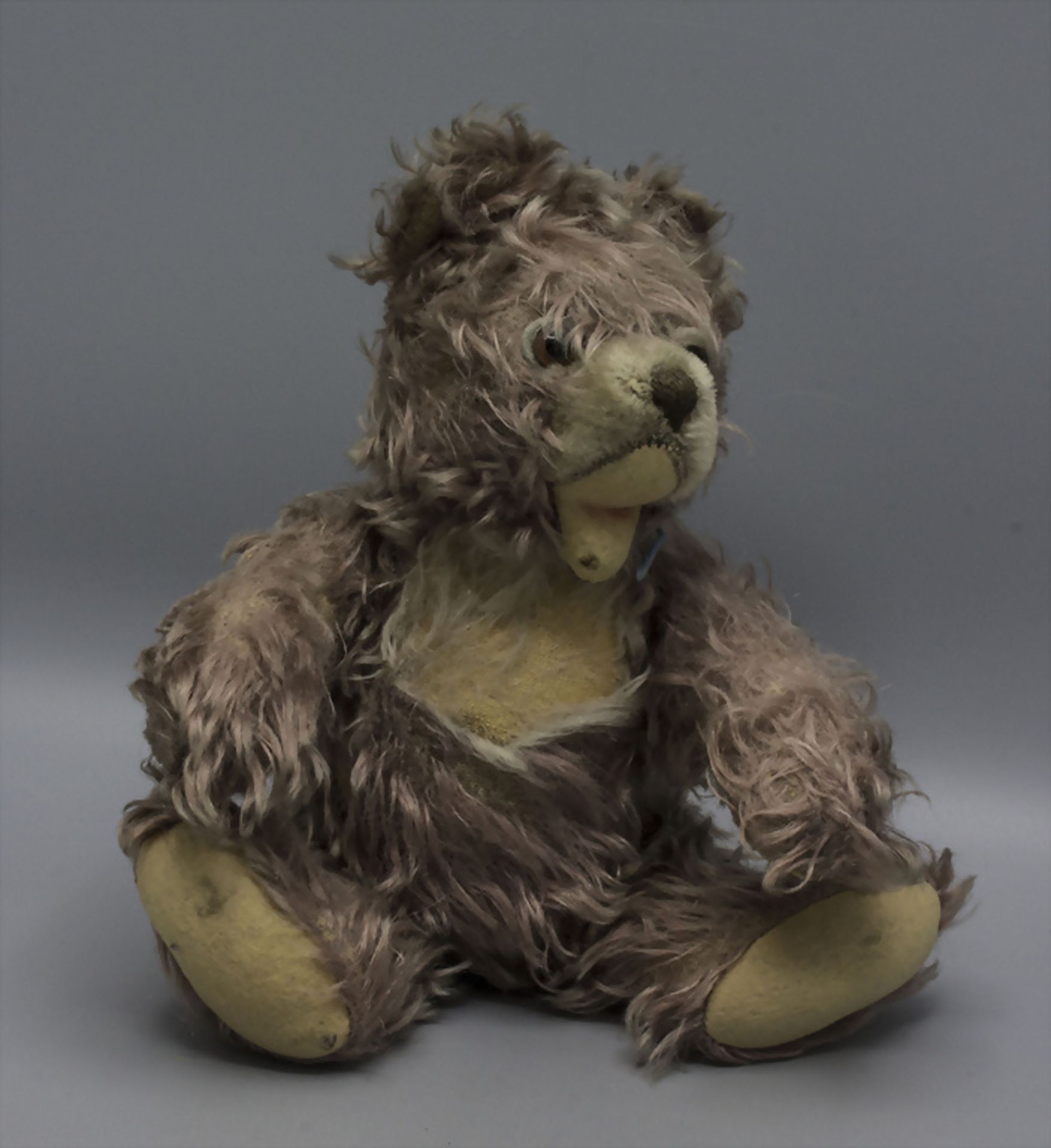 Teddybär / A teddy bear