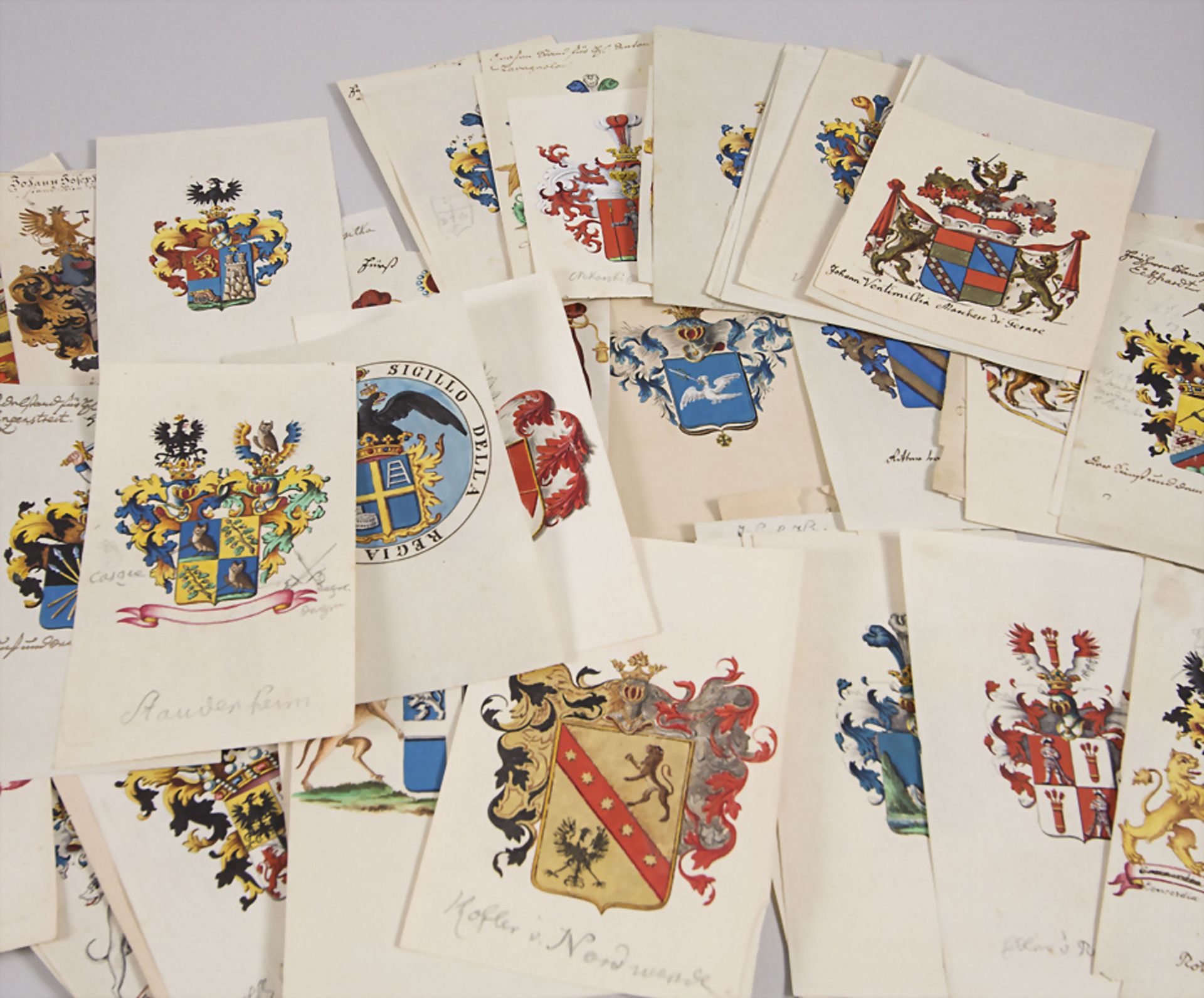 Sammlung handgemalter Adelswappen / A collection of handpainted coat of arms