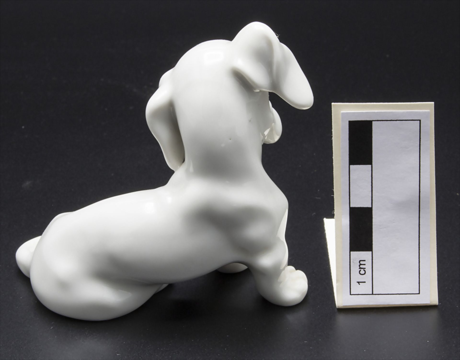 Junger Dackel / A small dachshund puppy, Augarten, Wien, um 1932 - Bild 2 aus 3