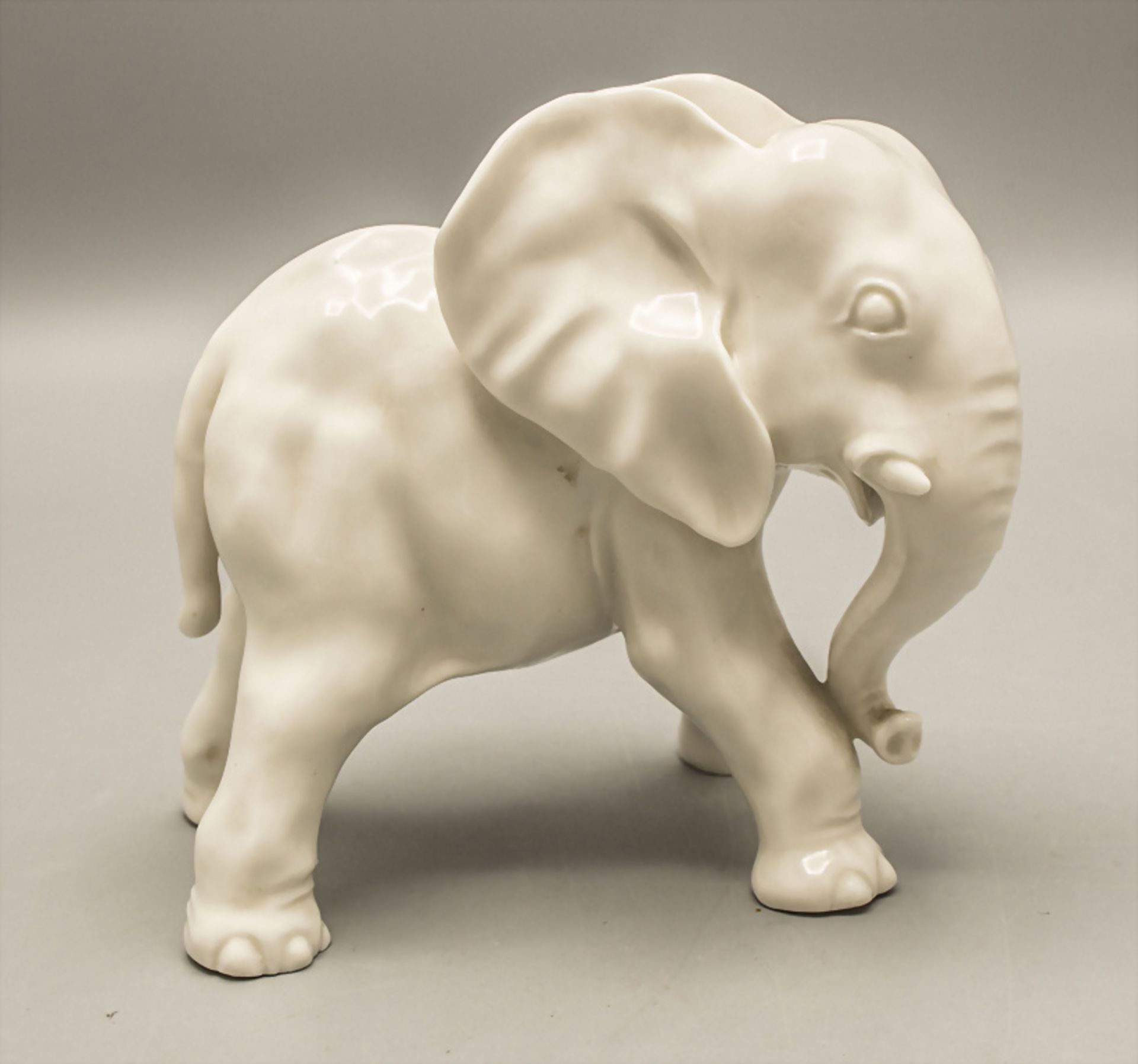 Junger Elefant / A young elephant, Nymphenburg, um 1928