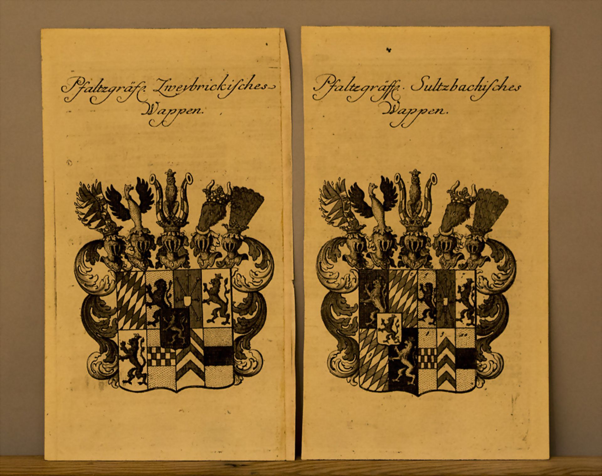 Zwei Pfalzgrafenwappen: Sultzbacher und Zweybrickener Wappen