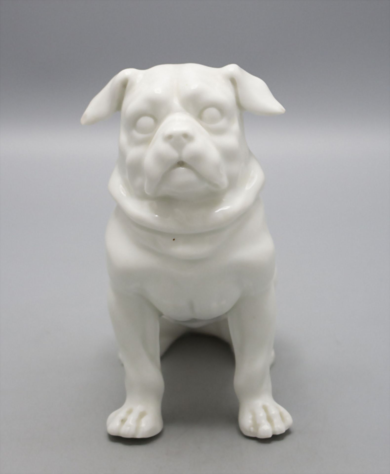 Sitzende englische Bulldogge / A sitting English bulldog, deutsch, Anfang 20. Jh. - Image 2 of 4