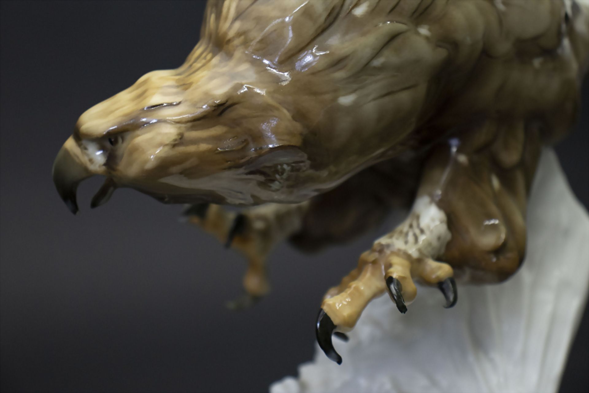 Vogelfigur 'Steinadler' / A figure of a golden eagle, Hutschenreuther, Kunstabteilung Selb, 2. ... - Bild 7 aus 10
