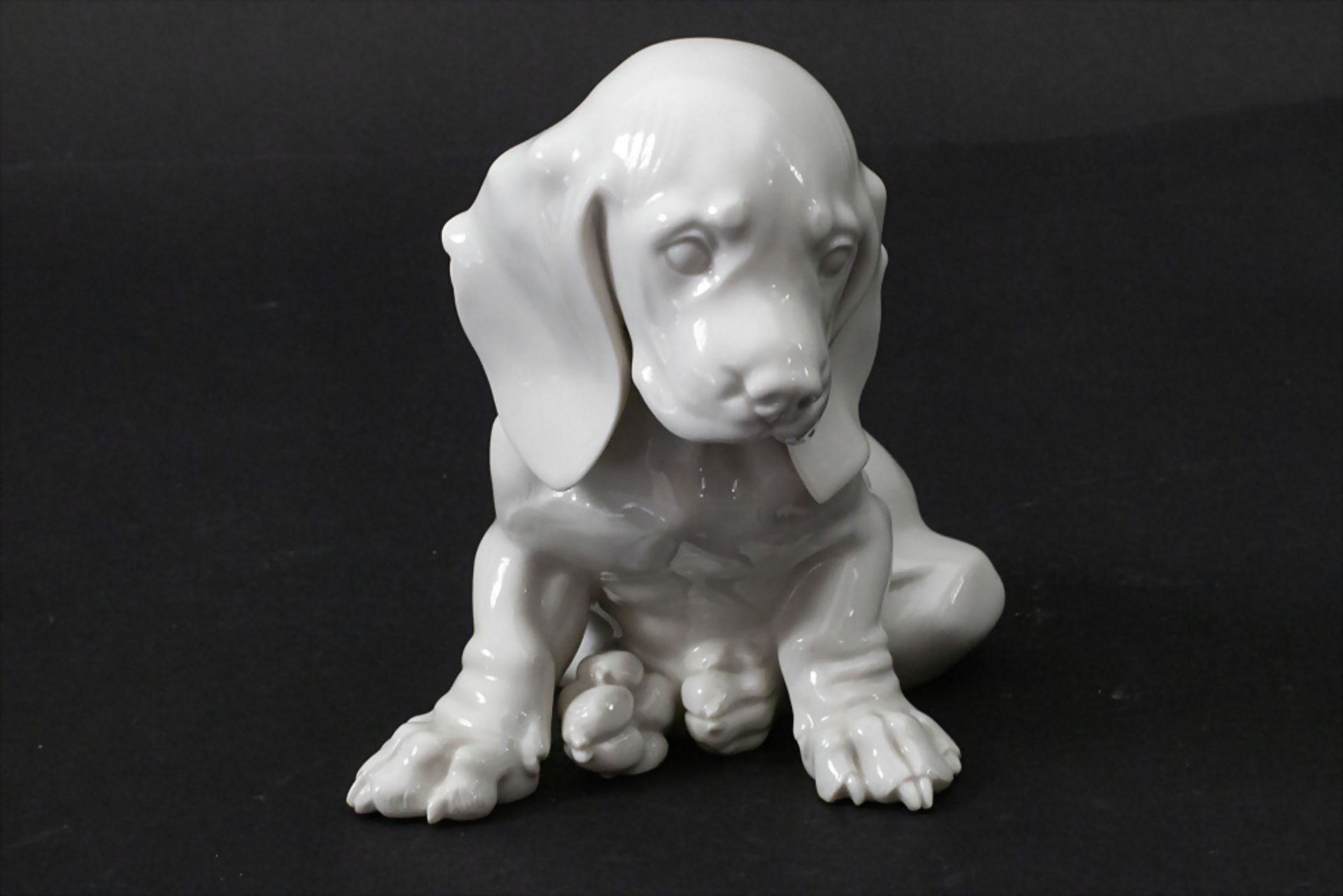 Porzellanplastik Sitzender Dackelwelpe / A figure of a sitting dachshund puppy, Theodor ... - Image 2 of 7