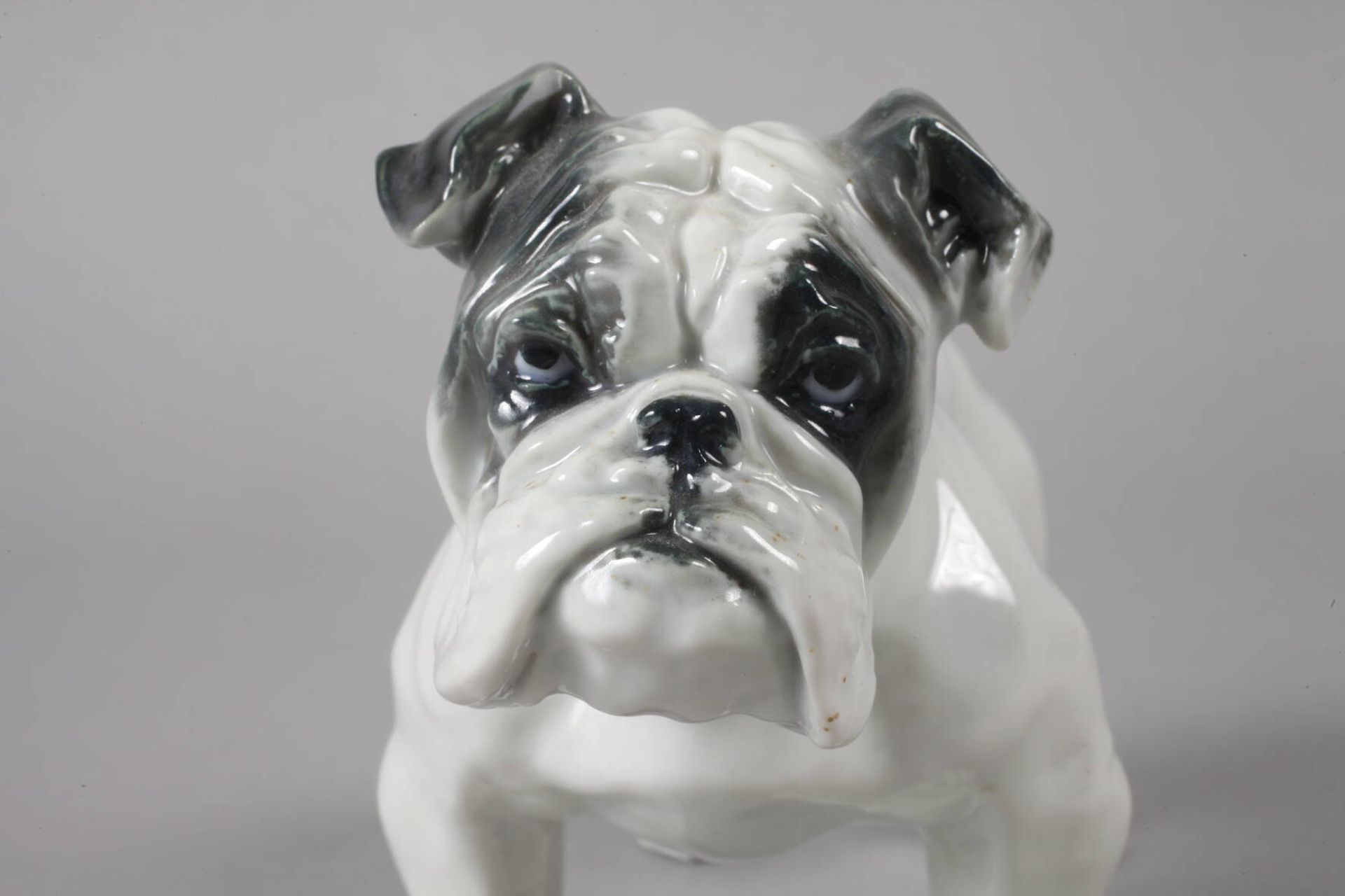 Rosenthal "Englische Bulldogge" - Bild 5 aus 5