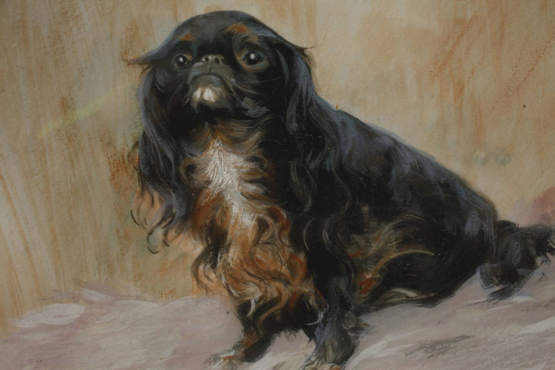 Prof. Max Rabes, King Charles Spaniel - Bild 2 aus 3