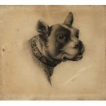 Robert Elliot, attr., Hundeportrait