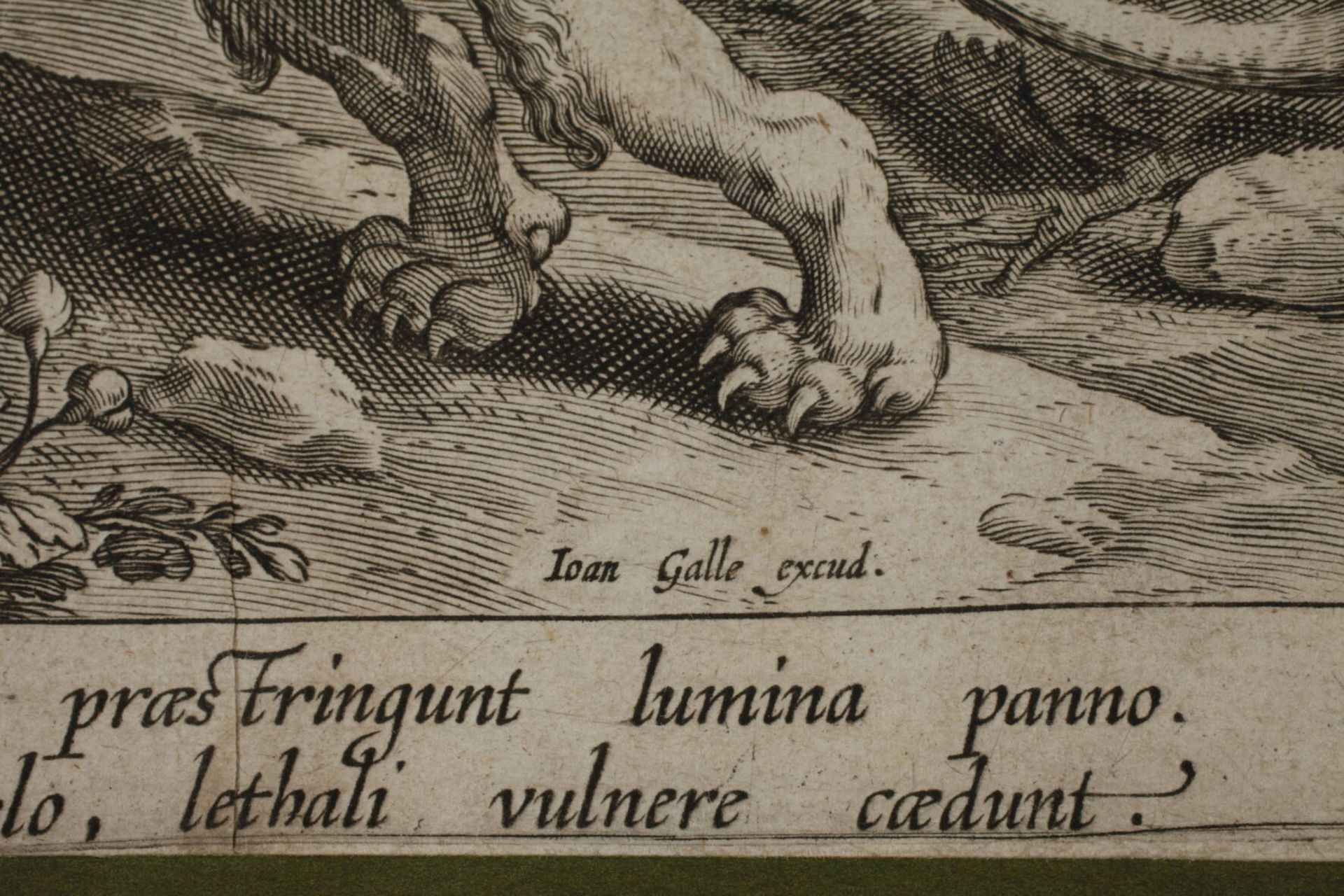 Cornelius Galle I., Auf der Löwenjagd - Image 3 of 6