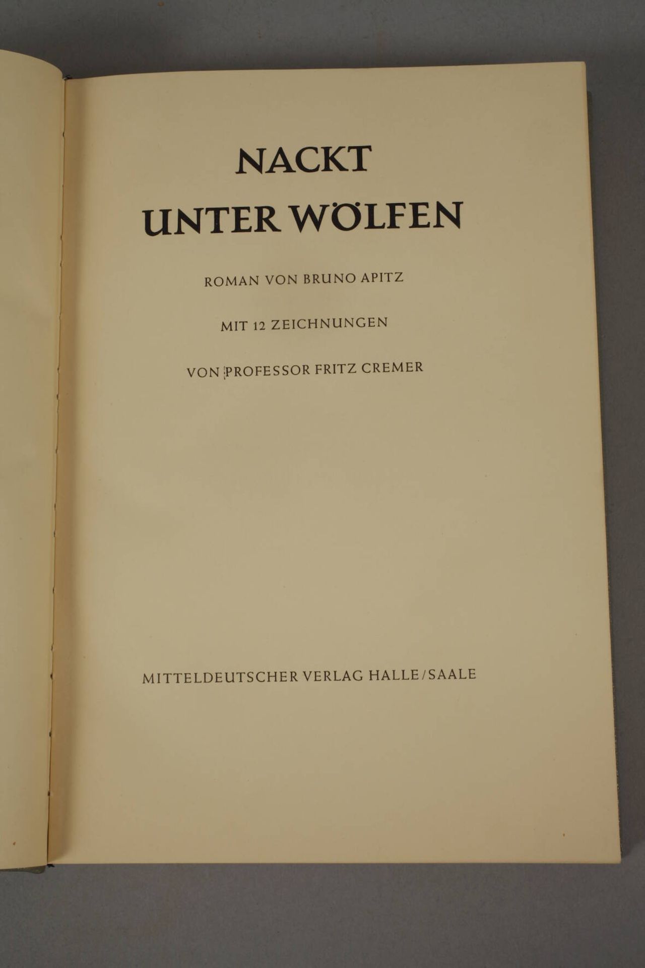 Nackt unter Wölfen - Image 3 of 7