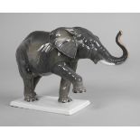 Rosenthal "Afrikanischer Elefant"