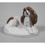 Rosenthal kleiner "King Charles-Hund"