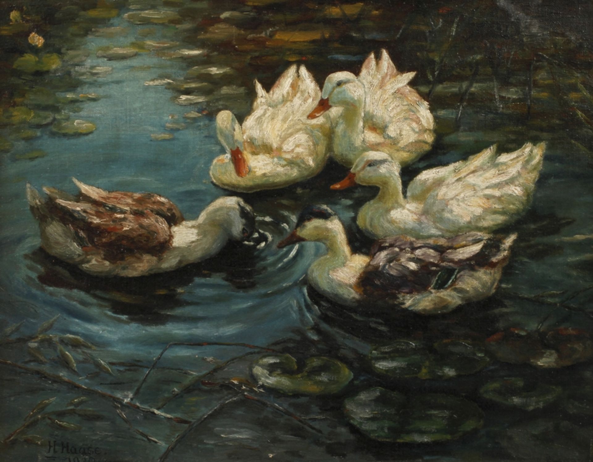 H. Haase, Enten im See