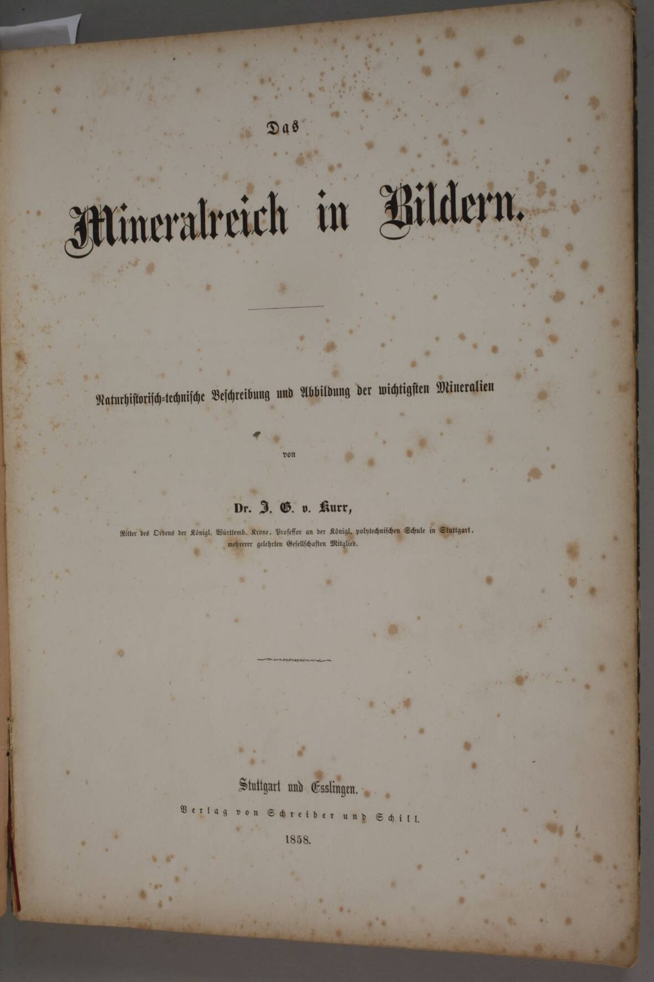 Zwei Bücher Naturkunde - Bild 6 aus 10