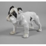 Rosenthal "Englische Bulldogge"