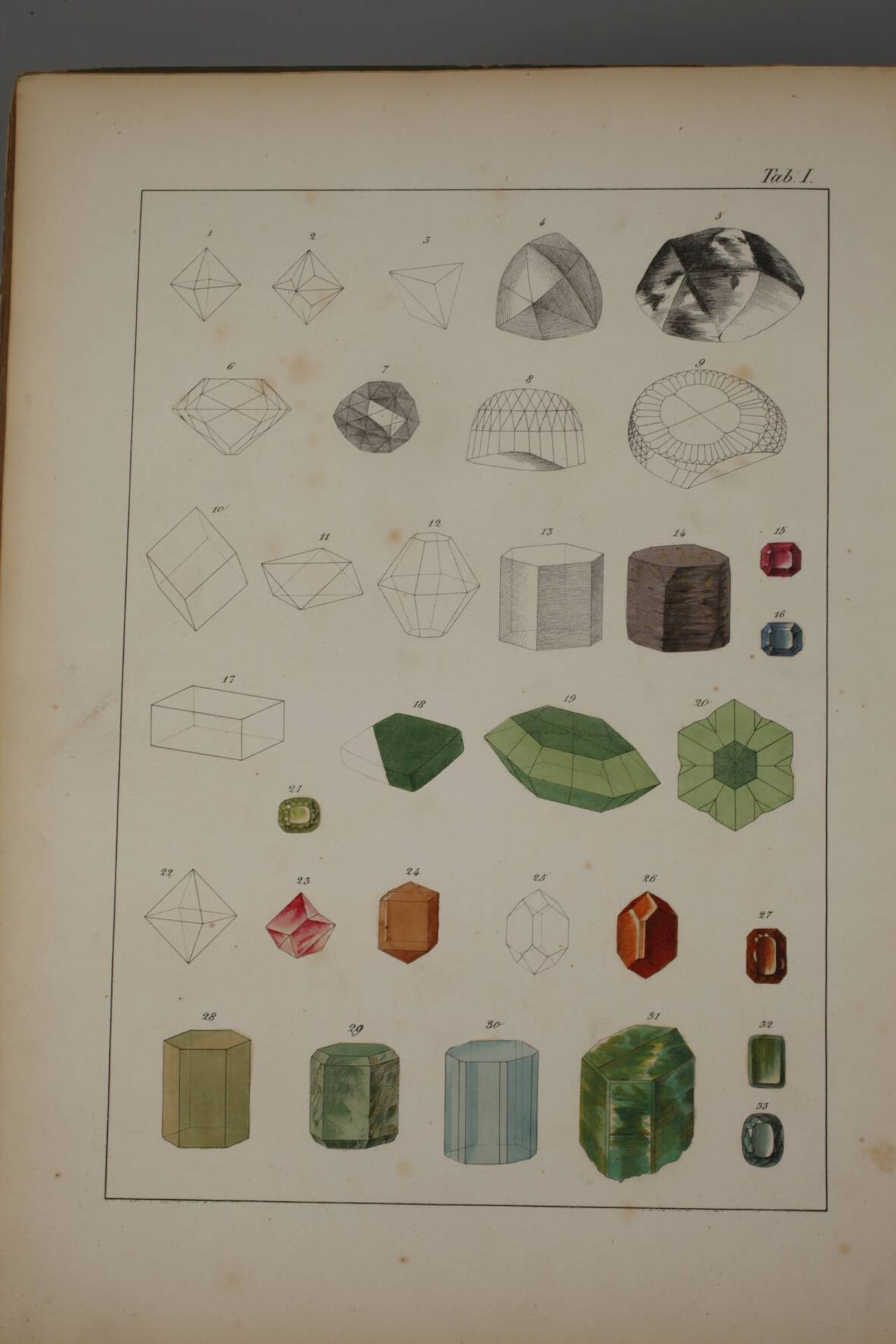 Zwei Bücher Naturkunde - Bild 7 aus 10