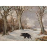 Schmidt, Wildschwein im Winterwald
