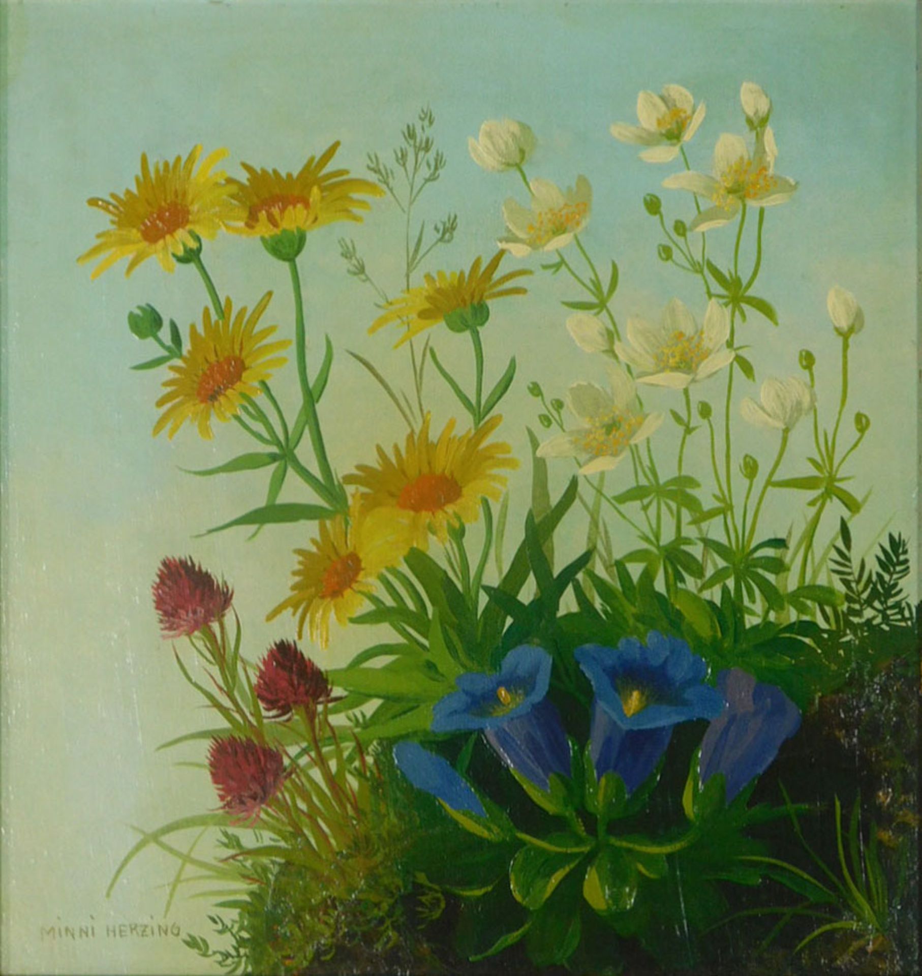 Minni HERZING (1883 - 1968). Blumenstillleben mit Enzian und Rotklee.