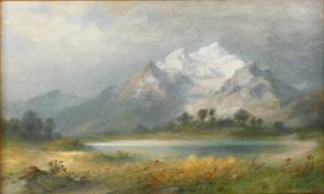 Heinrich STEINIKE (1825 - 1909). Alpengipfel hinter einem See.