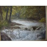 V. Swan, oils on board, a fast-flowing woodland river, signed; Connie Luidinga, oils on board, a