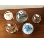 5 various glass paperweights by Adam Aaronson, 8 x 7 cm [This lot is viewed at and cleared from John