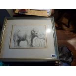 A selection of seven framed print and watercolours that includes after Rembrandt The Elephant, a