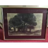 A mid 20th century Conte crayon & charcoal tree landscape signed by Willett entitled Grey Scene 49 x