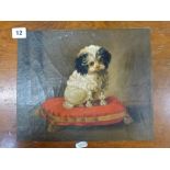A French school-style oils on canvas of a lap-dog on a scarlet gold-tasselled cushion (24 x 30 cm)