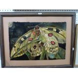 G.F. Roberts, two oils on card, large details of moths, signed Roberts and Moon? (the largest 28 x