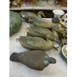 An interesting lot comprising four floating decoy ducks, a decoy wood pigeon, a maize grinder and an