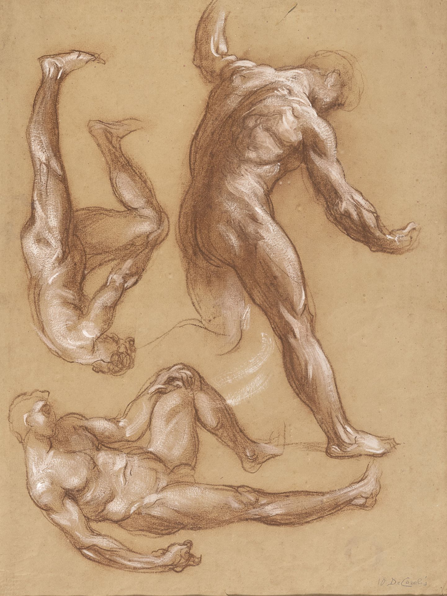 SANGUINE DRAWING BY ADOLFO DE CAROLIS