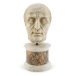 HEAD OF CAESAR IN WHITE MARBLE