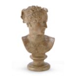 PLASTER BUST OF PAOLINA BORGHESE LATE 19TH CENTURY